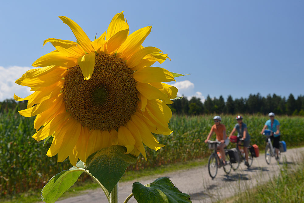 drau-radweg-kaernten.jpg