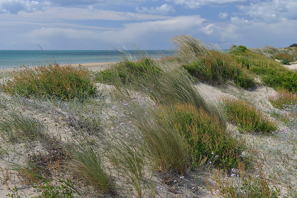 Languedoc-Roussillon