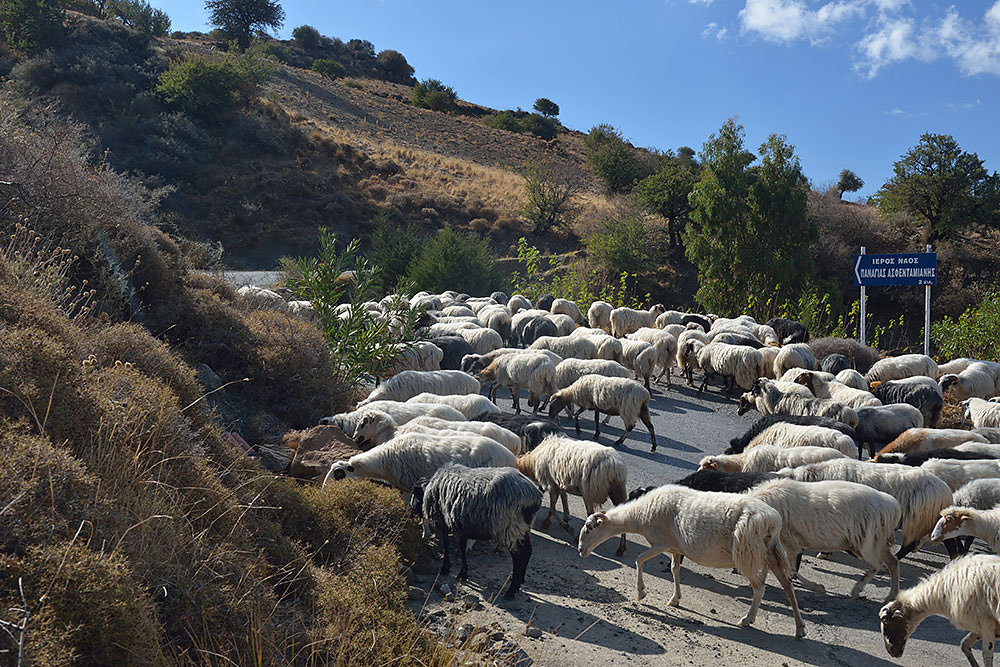 Kreta