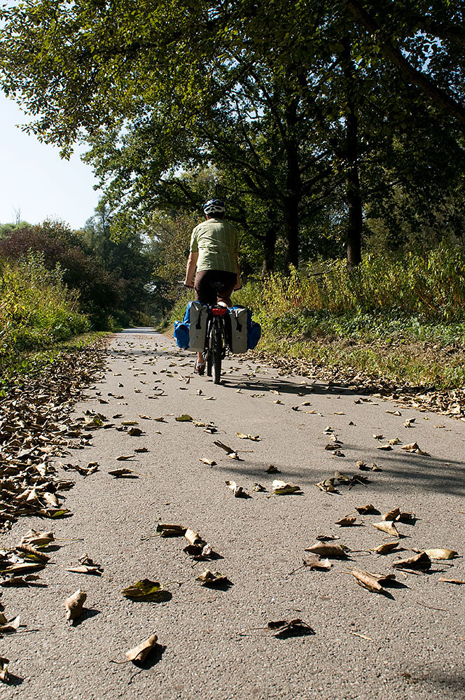 Donauradweg - Passau-Wien