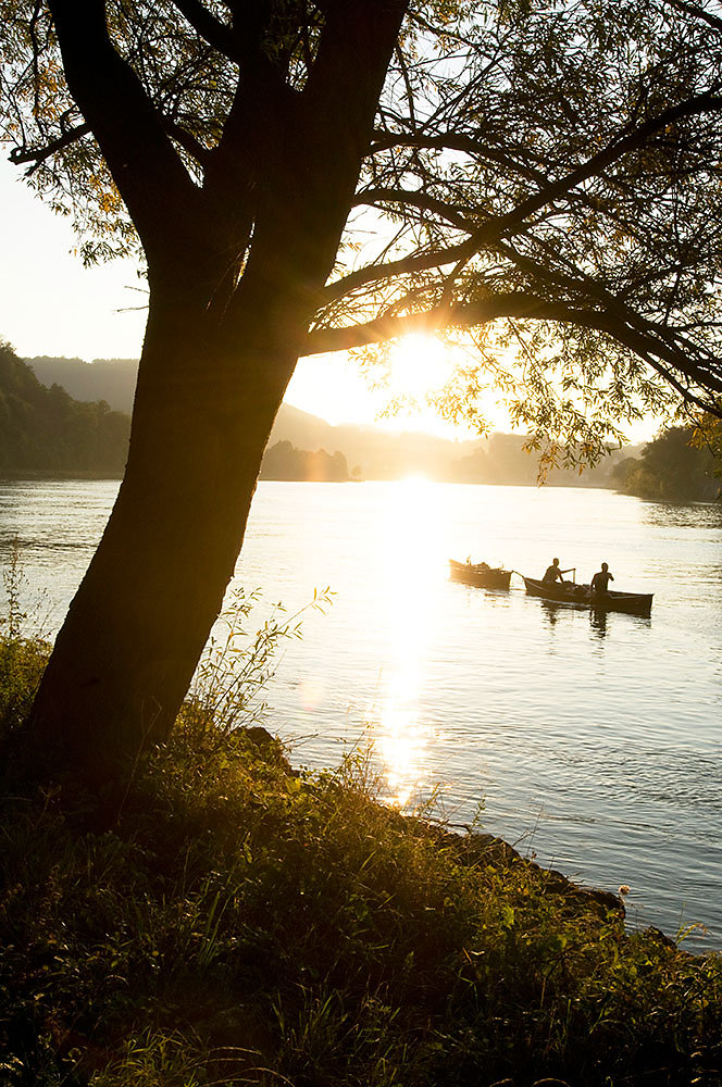 Donauradweg - Passau-Wien