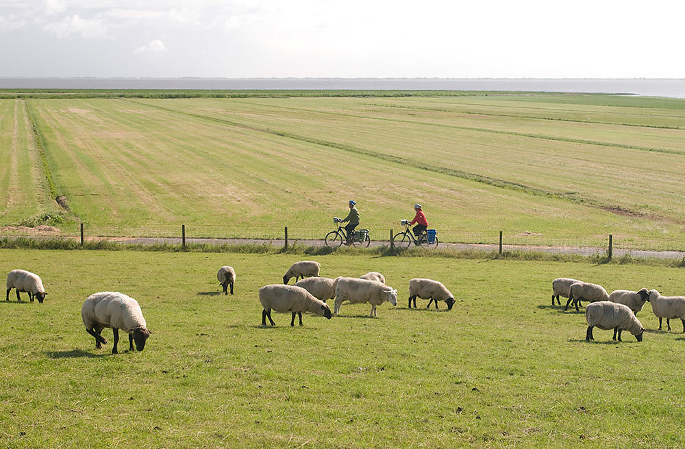 Nordseeküstenradweg