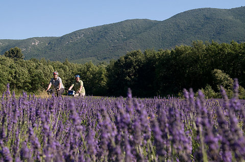 Provence Fahrradreise