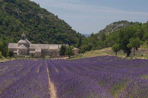 Provence Fahrradreise