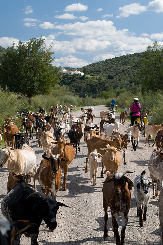 spanien-viaverdes.jpg