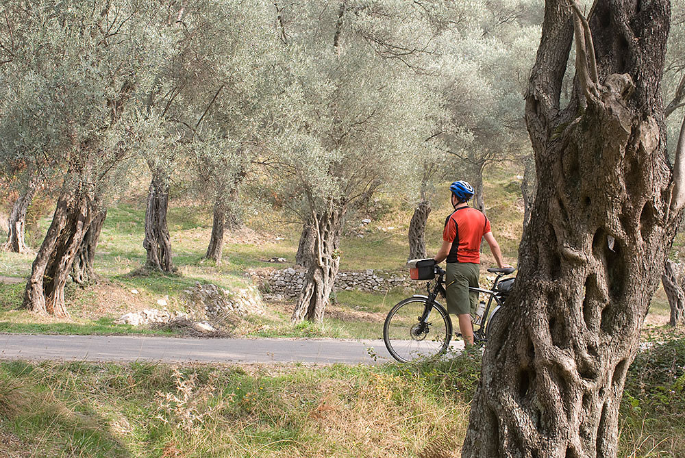 montenegro-kueste-fahrrad.jpg