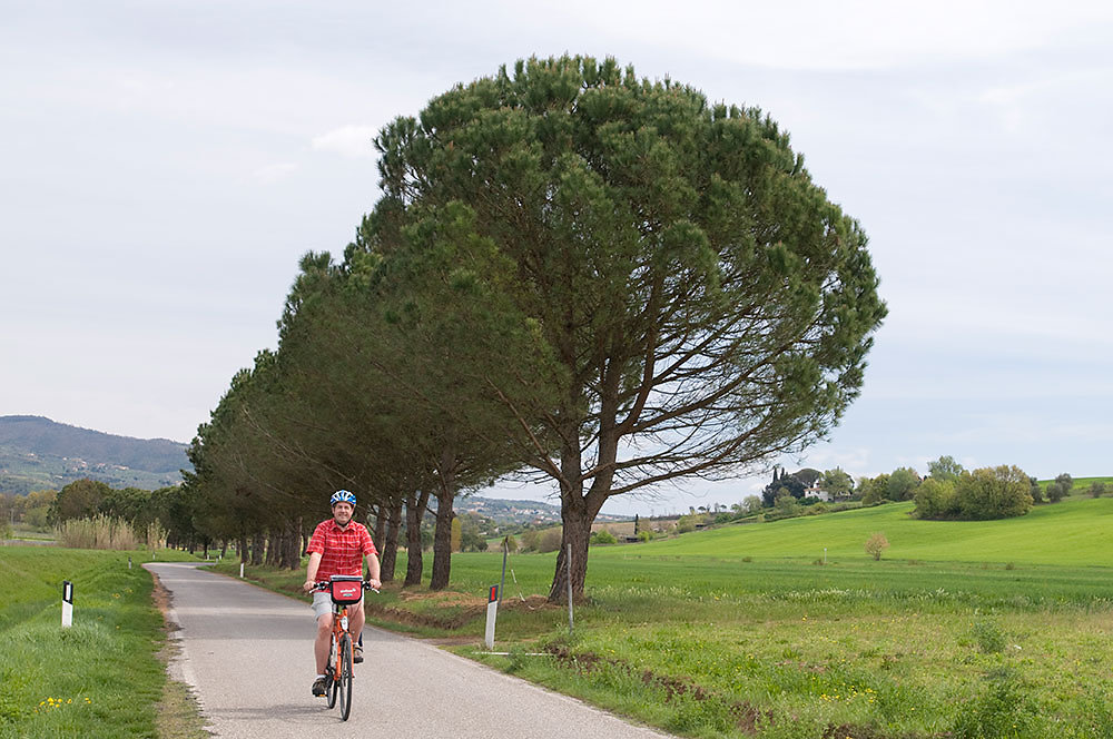 fahrrad-italien-toskana.jpg