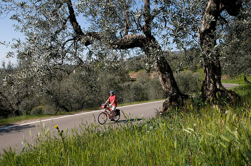 toskana-fahrrad.jpg