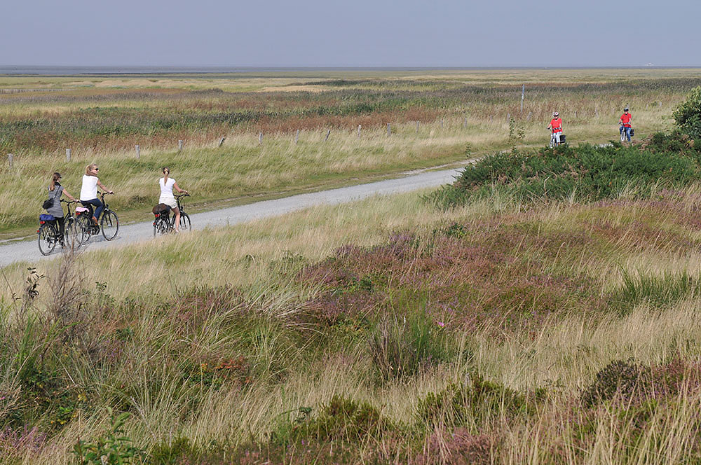 Von Bremen nach Kiel