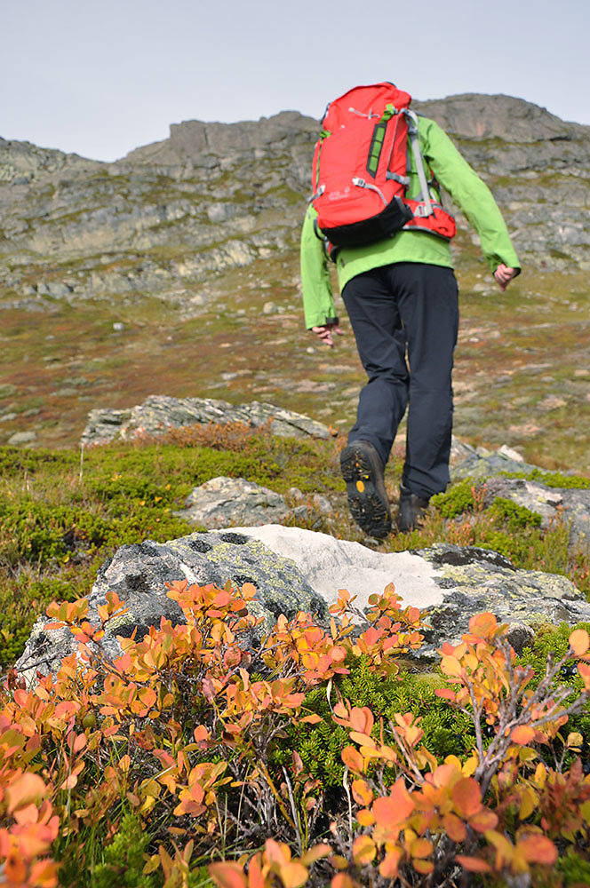 wanderer-herbst.jpg