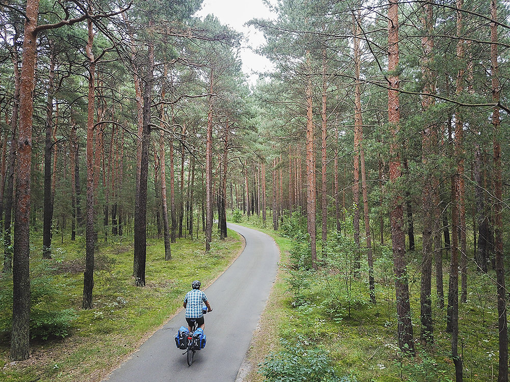 Sachsen-Radweg.jpg