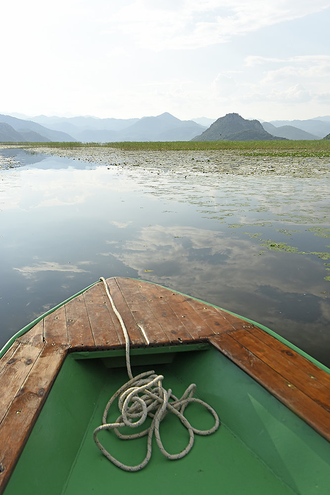 Montenegro-Skadasee.jpg