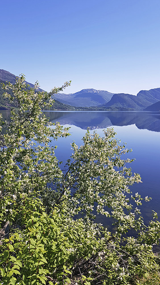 Fjorde-Norwegen.jpg