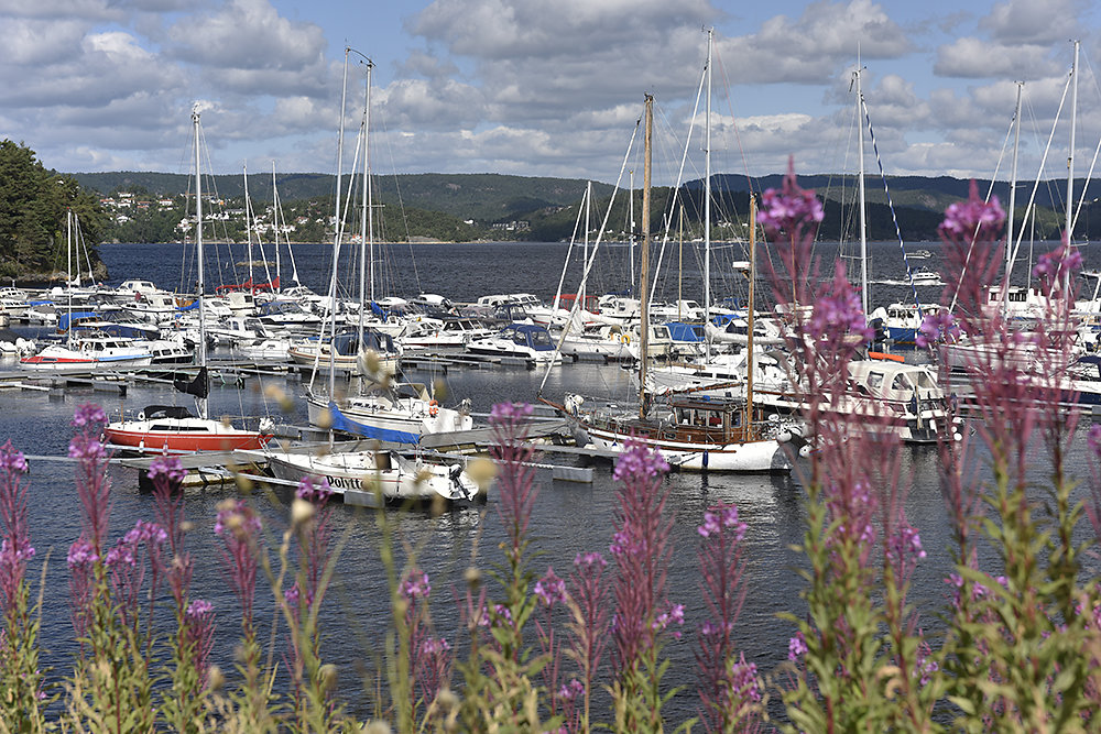 Nordseeküsten-Radweg - Norwegen