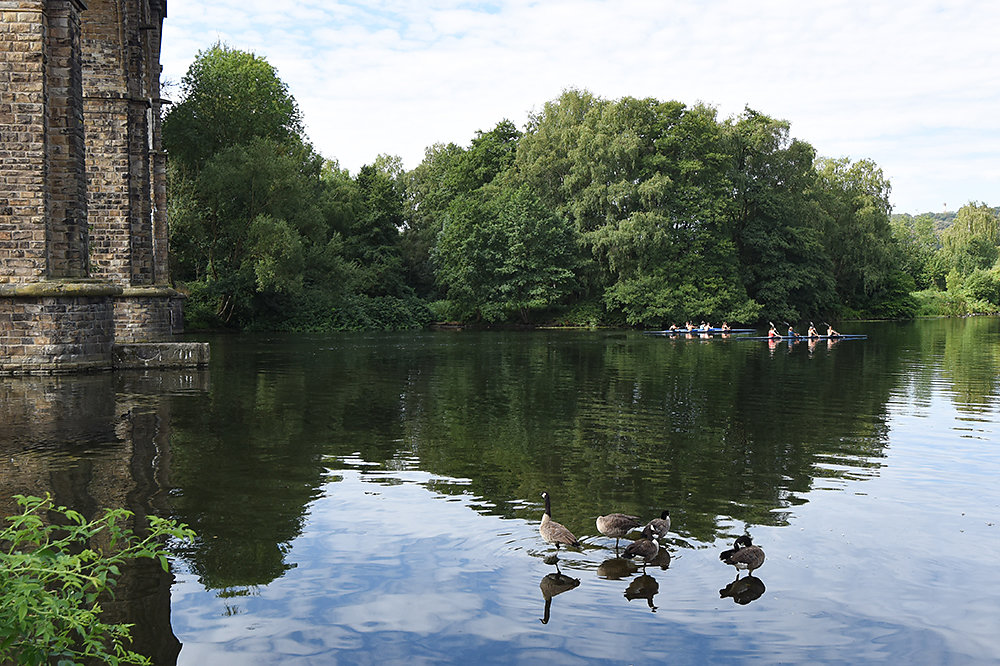 Ruhr-Fluss.jpg