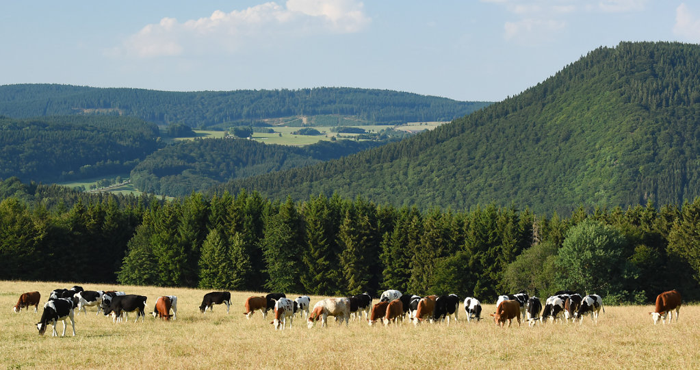 Winterberg-Sauerland.jpg