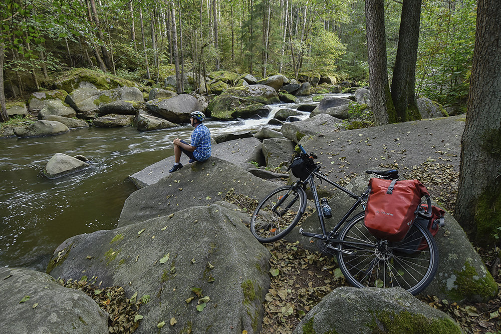 Boehmer-Wald-Fahrrad.jpg