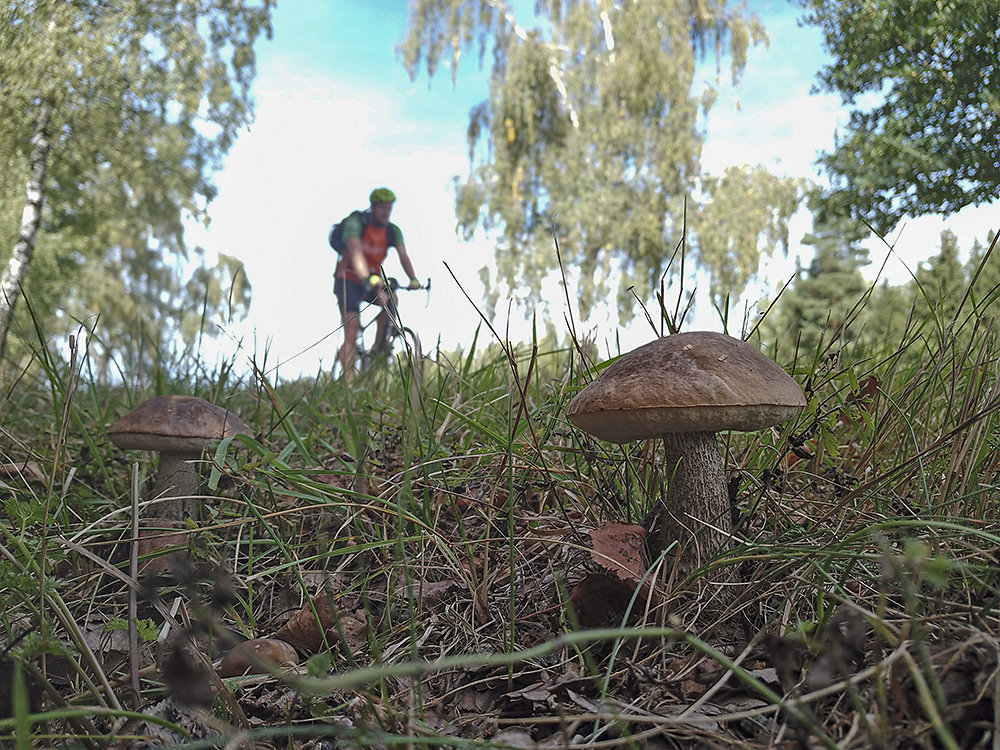 Fahrrad-Tschechien.jpg