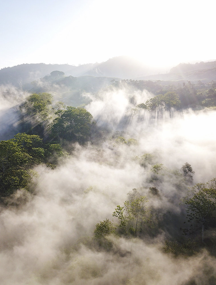 Costa-Rica-Regenwald.jpg