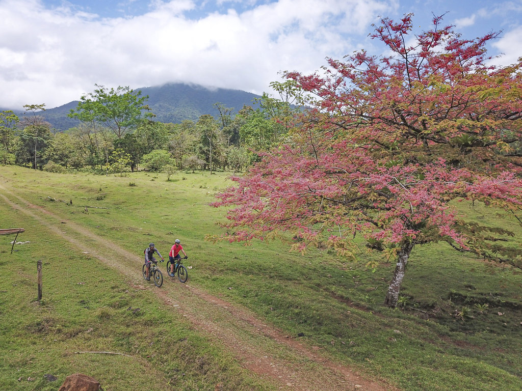 Fahrrad-Costa-Rica.jpg