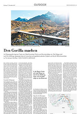 NZZ-Den-Gorilla-machen2.jpg